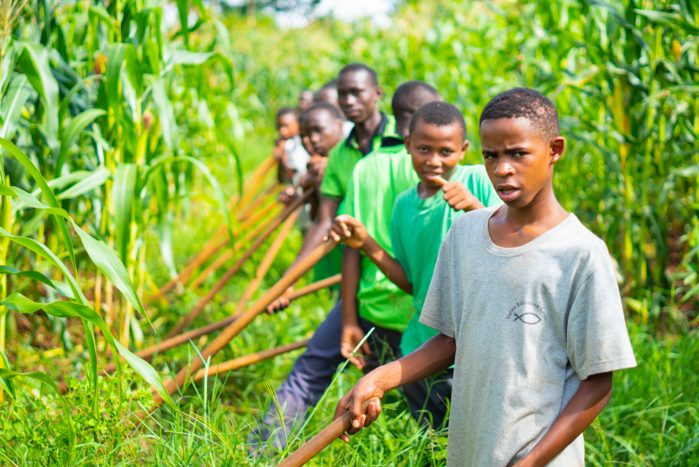 Landwirtschaft in Morogoro